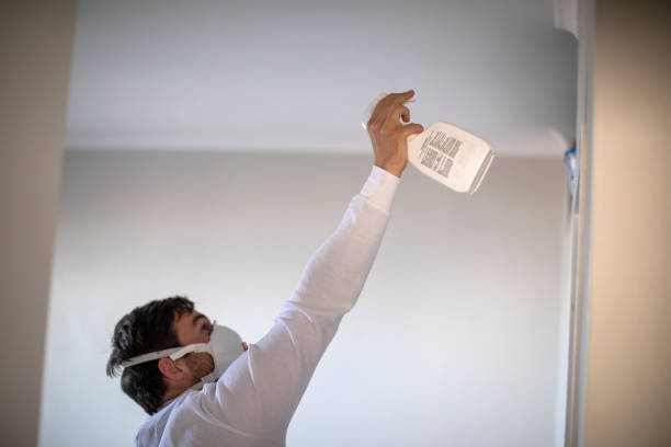 Best Residential Mold Remediation in Eldorado, IL