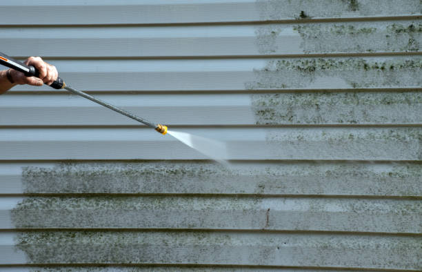 Professional Mold Remediation in Eldorado, IL