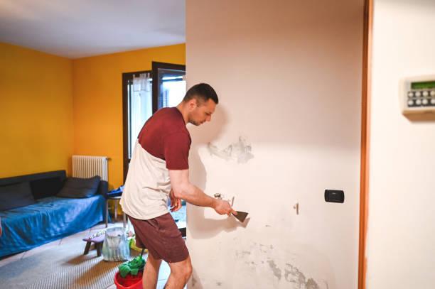 Best Mold Remediation for Schools in Eldorado, IL
